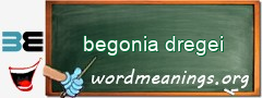 WordMeaning blackboard for begonia dregei